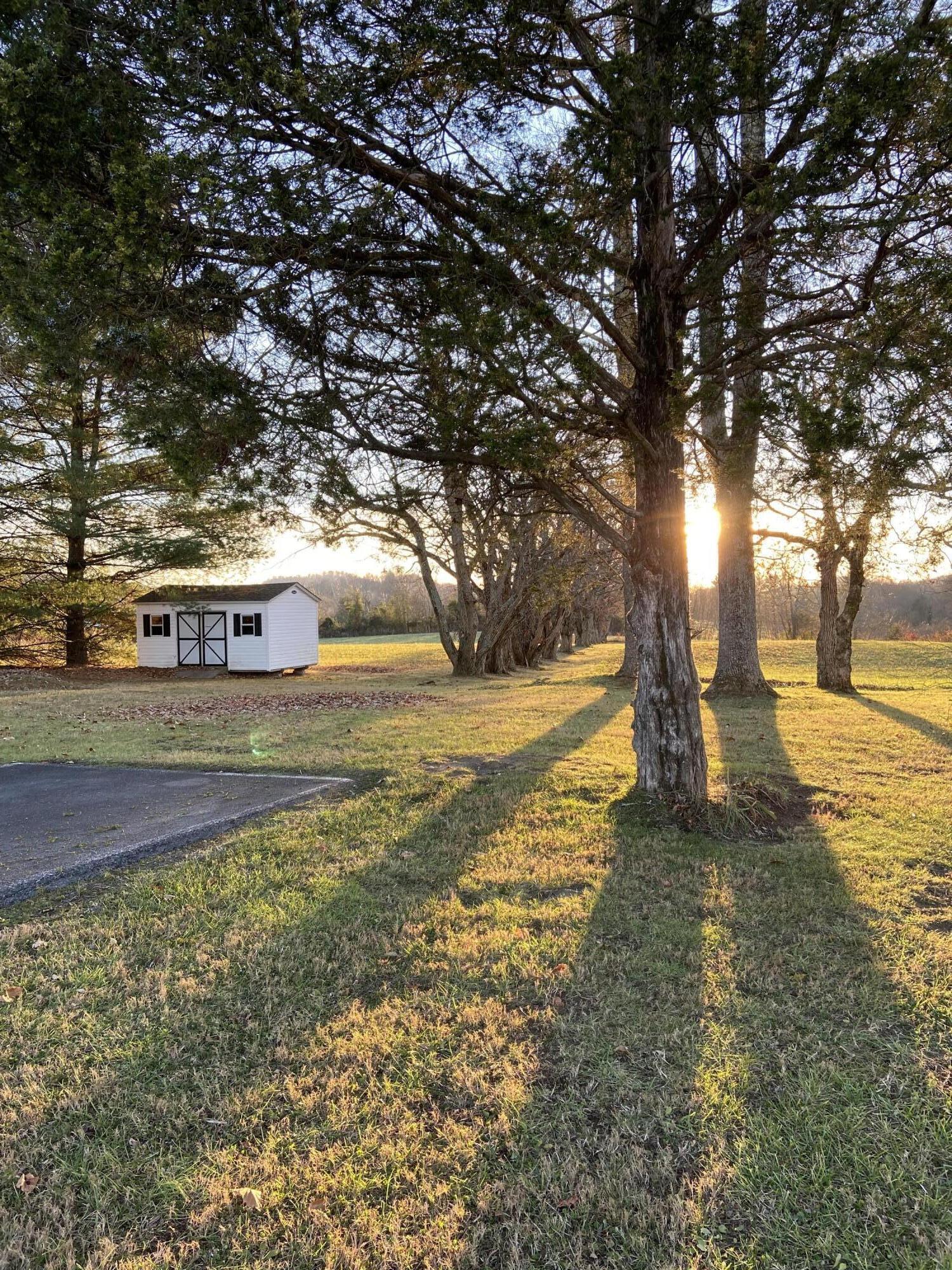 335 Green Road Bristol, TN 37620 - Photo 5 of 45 IMG_6077