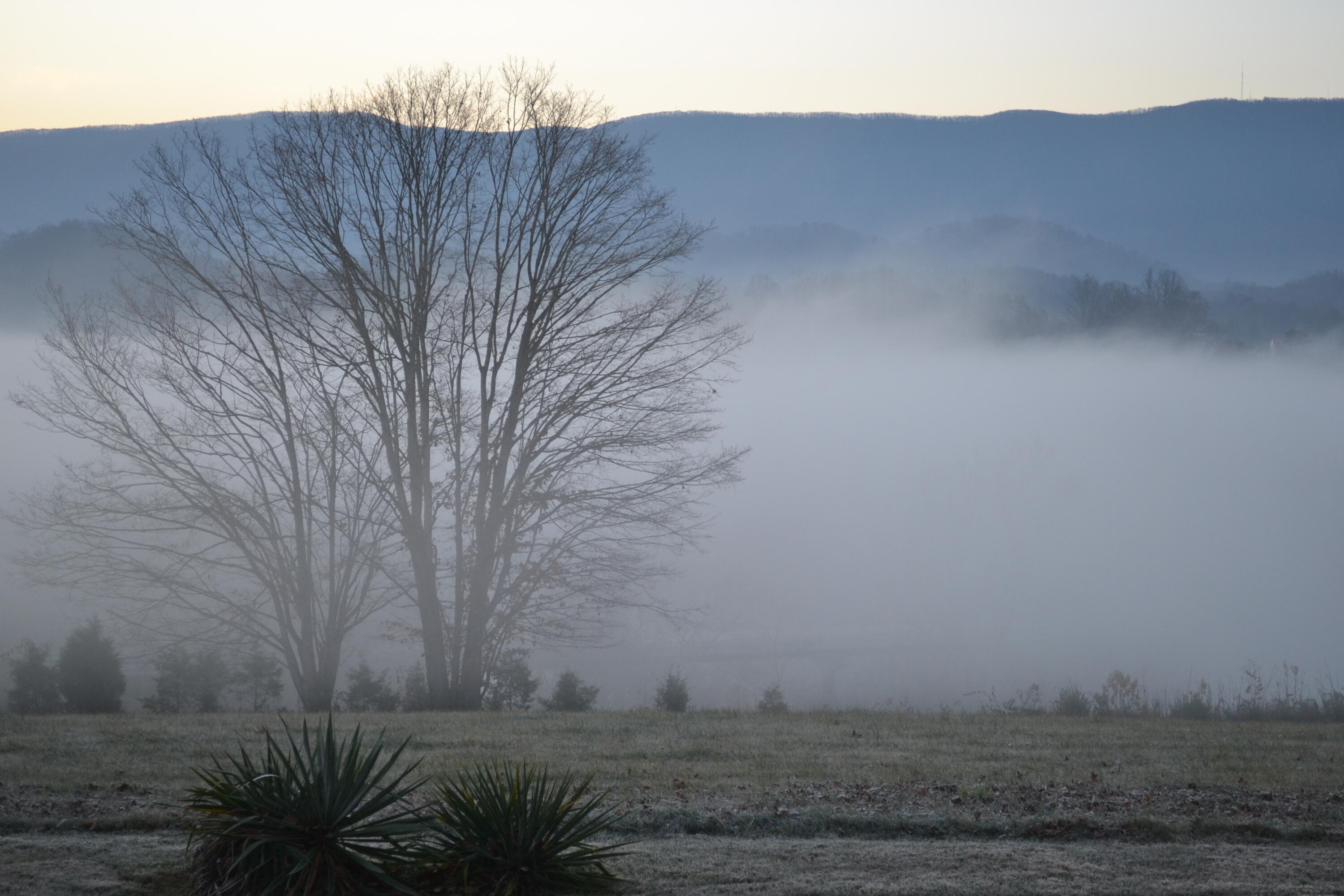 335 Green Road Bristol, TN 37620 - Photo 6 of 45 DSC_8889