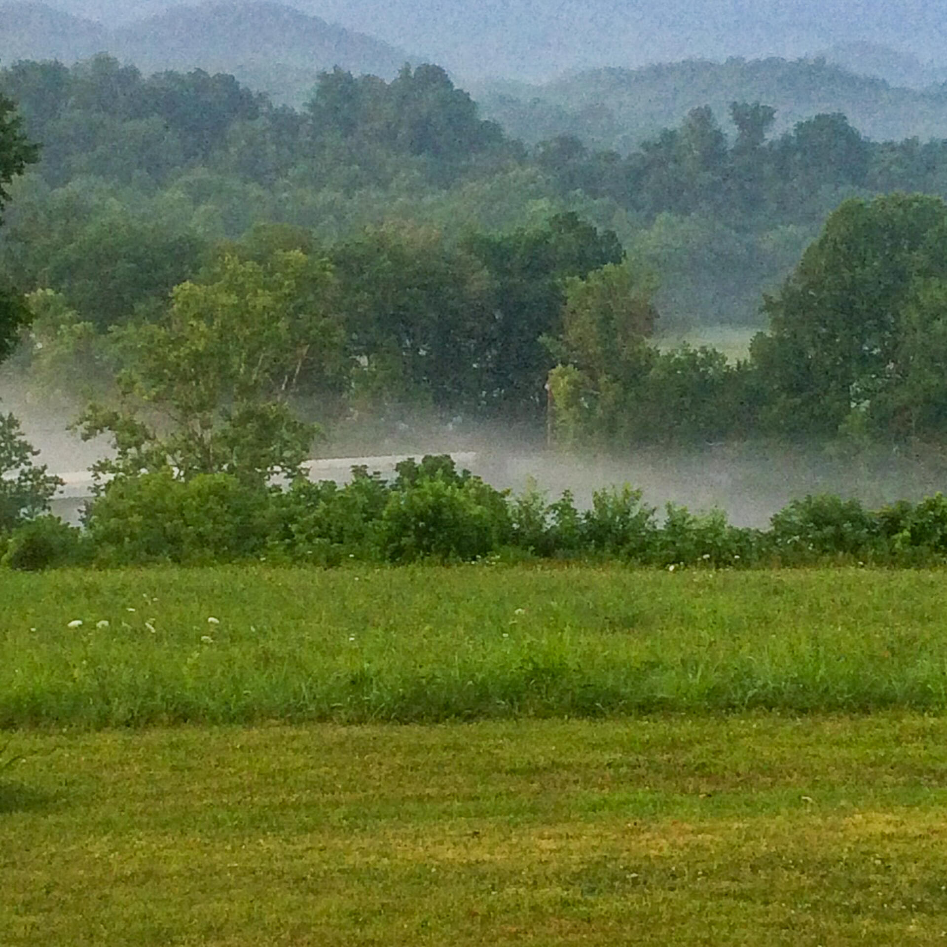335 Green Road Bristol, TN 37620 - Photo 10 of 45 edits-6