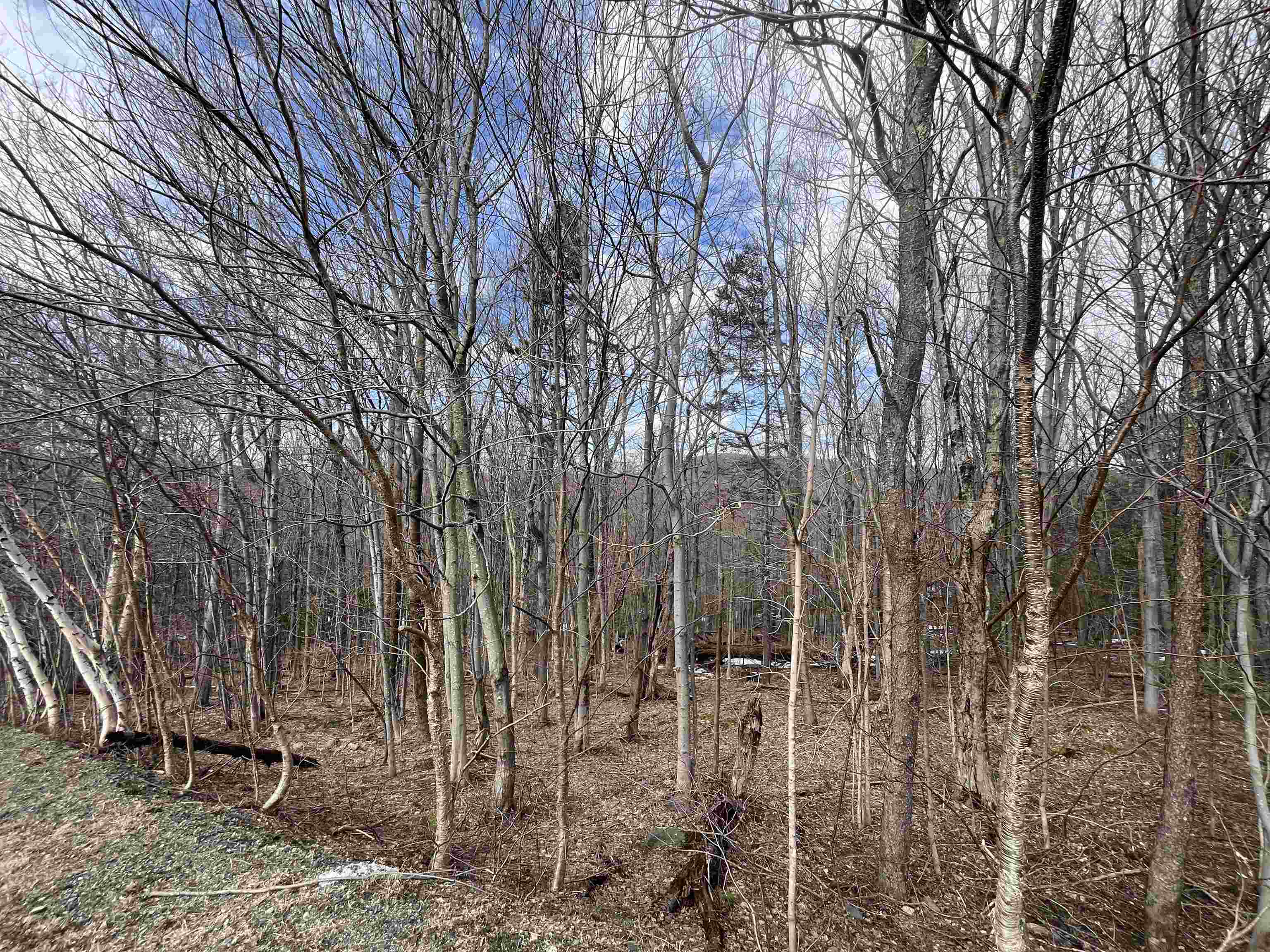 9 Barber Road West Dover, VT 05356 - Photo 3 of 9