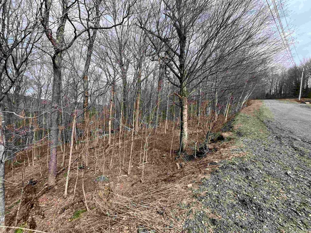 $59,000 | 9 Barber Road, West Dover, VT 05356