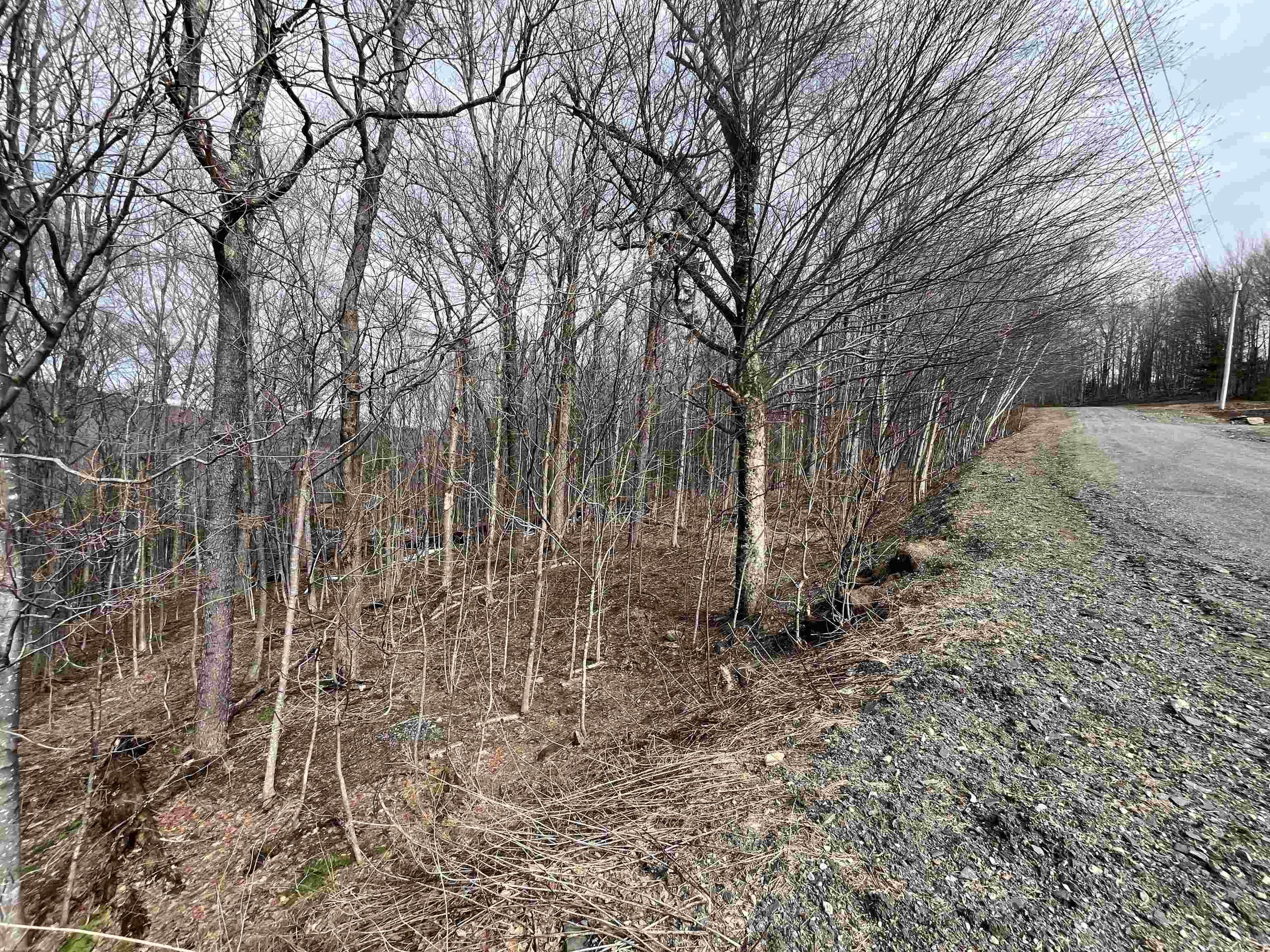 9 Barber Road West Dover, VT 05356 - Photo 6 of 9