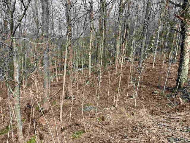 $59,000 | 9 Barber Road, West Dover, VT 05356