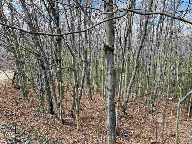 $59,000 | 9 Barber Road, West Dover, VT 05356