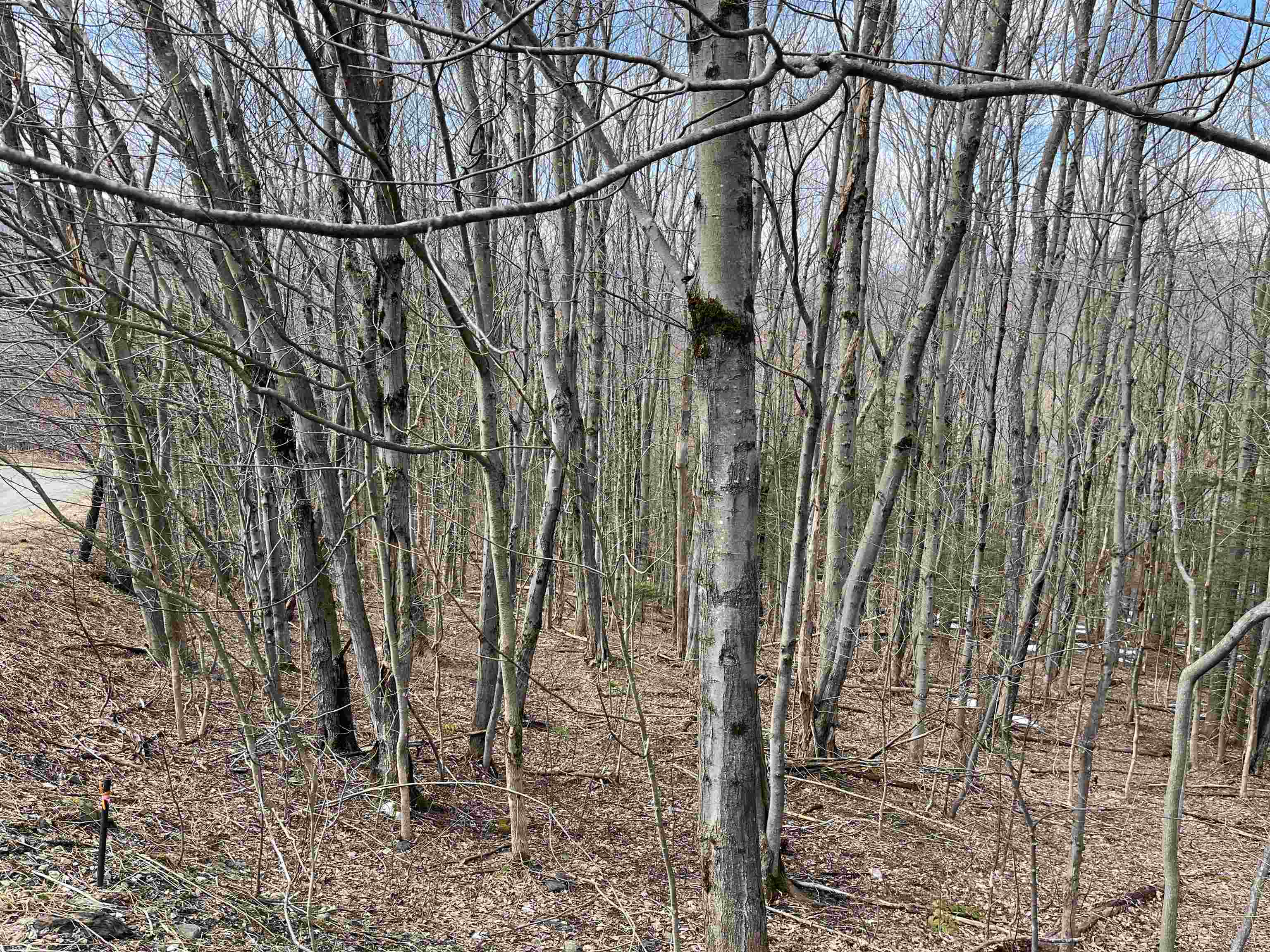 9 Barber Road West Dover, VT 05356 - Photo 8 of 9