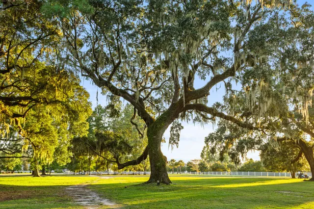 $535,000 | 236 Oak View Way, Summerville, SC 29483