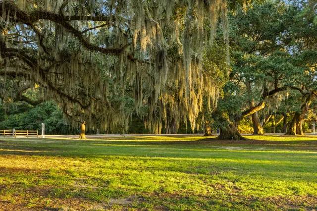 $535,000 | 236 Oak View Way, Summerville, SC 29483