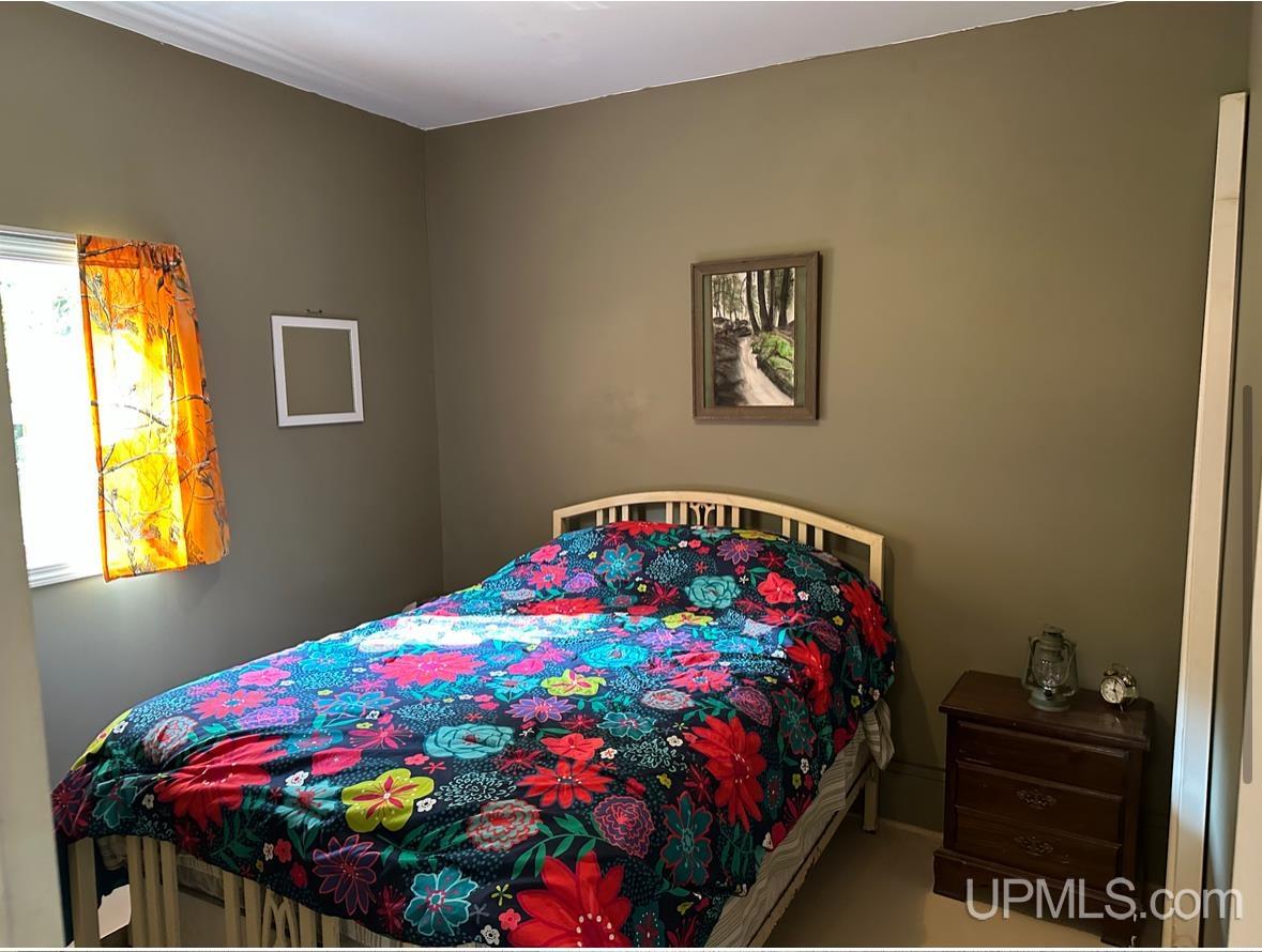 N1504 Paulsen Road Chatham, MI 49816 - Photo 6 of 7