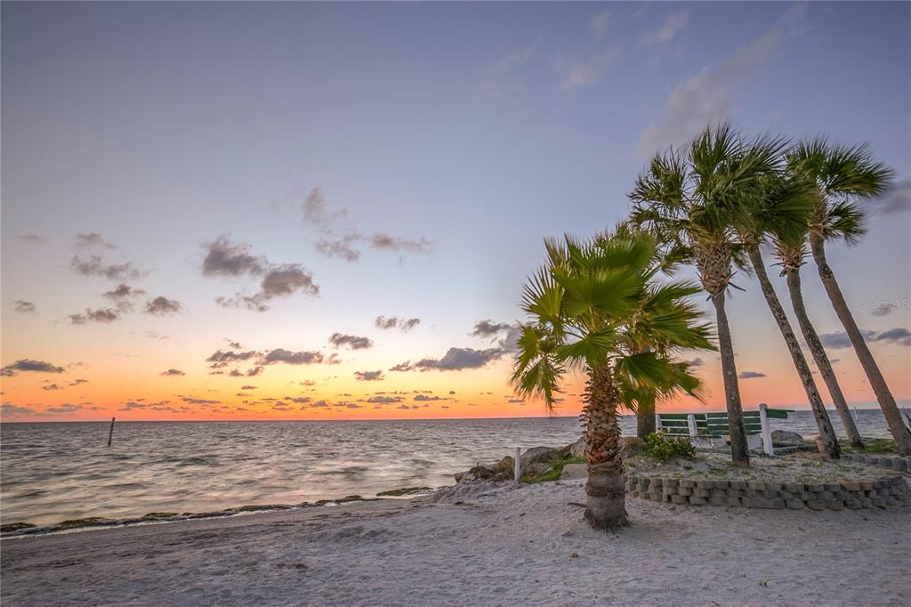 4557 Garnet Drive, Unit 102 New Port Richey, FL 34652 - Photo 12 of 14 a view of beach and ocean