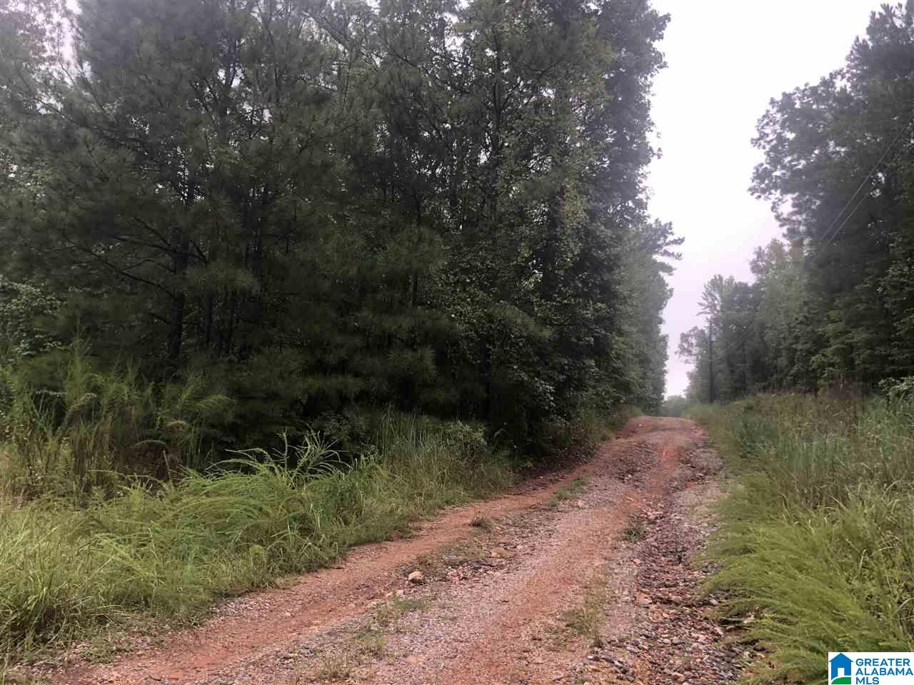 8115 Jones Road Southwest, Unit 10 ACRES Bessemer, AL 35022 - Photo 8 of 9 Gallery Image 8