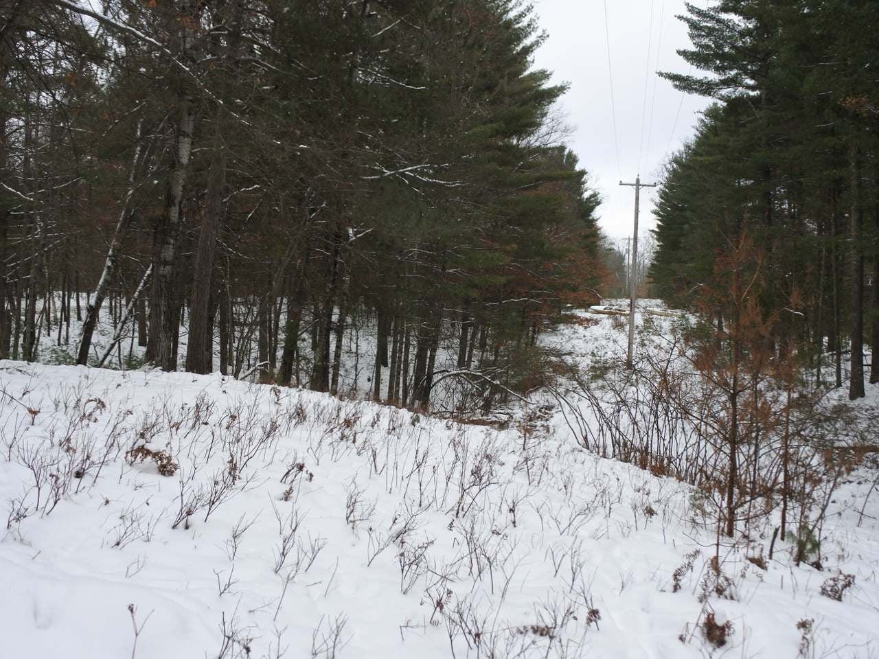Lot 1 Thoroughfare Road Minocqua, WI 54548 - Photo 18 of 20 Gallery Image 18