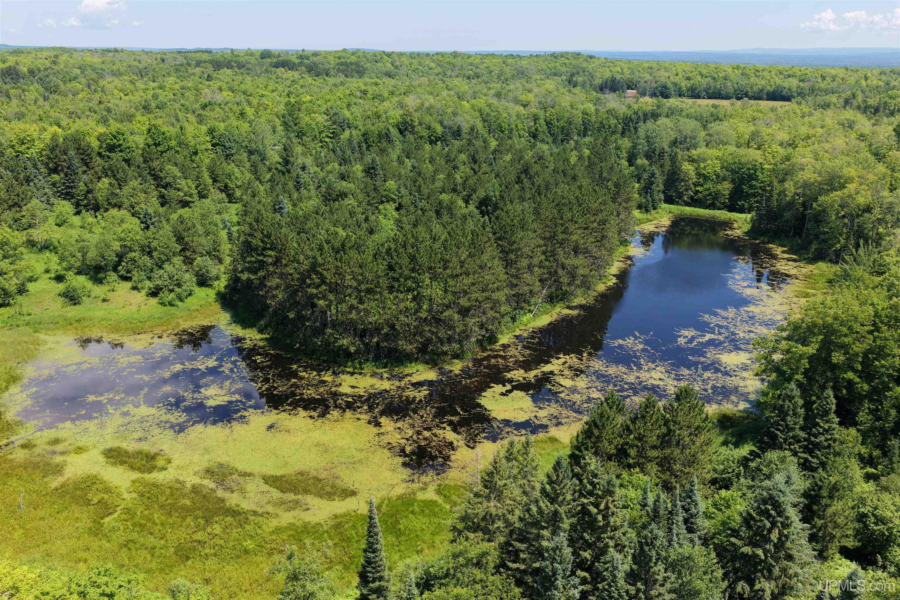 Tbd Peterson Road Nisula, MI 49952 - Photo 9 of 19 Gallery Image 9