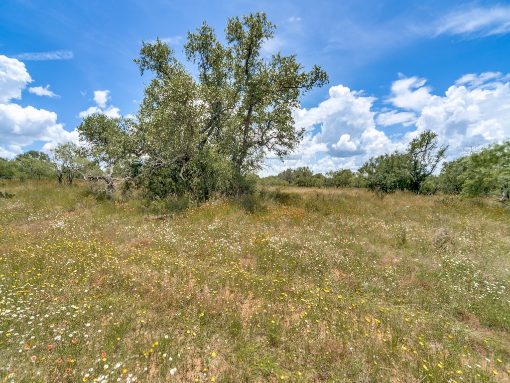 Tbd Hickory Grove Road Pontotoc, TX 76869 - Photo 10 of 19