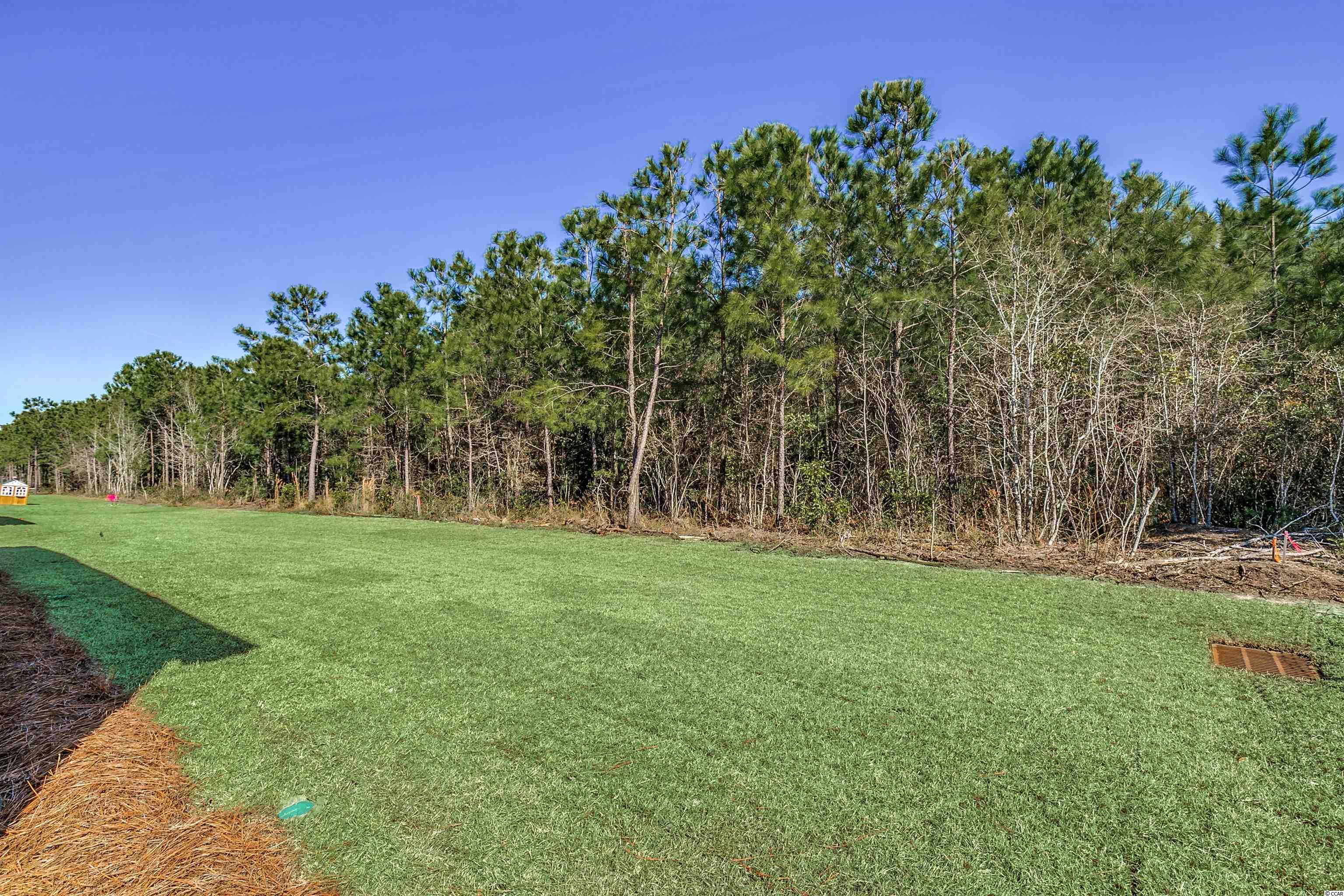 525 Canborough Lane Murrells Inlet, SC 29576 - Photo 32 of 40 Gallery Image 32