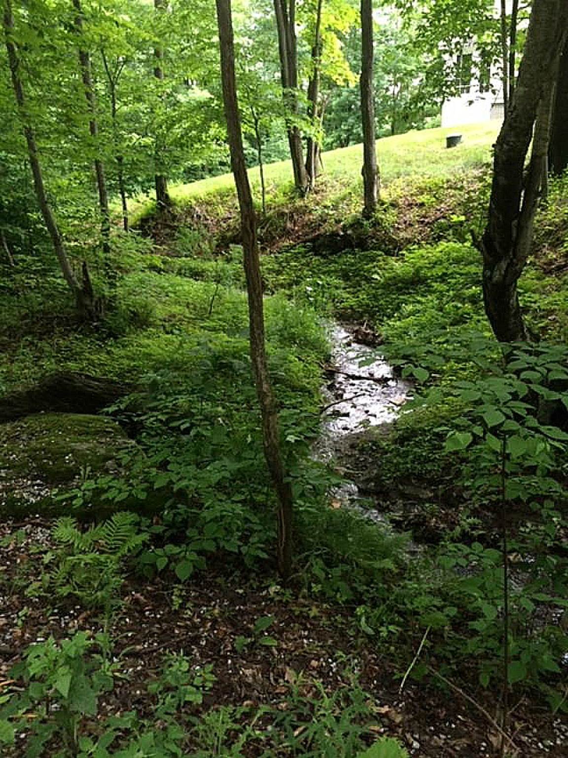 1765 Lilly Hill Road Danby, VT 05761 - Photo 11 of 40 Gallery Image 11