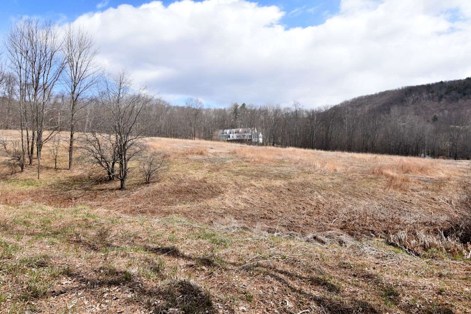 1765 Lilly Hill Road Danby, VT 05761 - Photo 5 of 40 Gallery Image 5