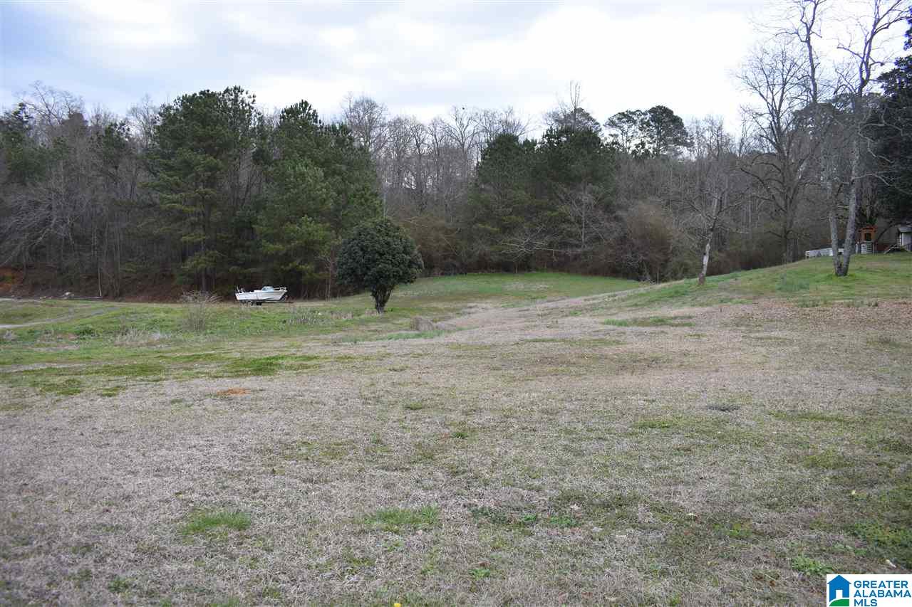 1425 Mt Olive Road Gardendale, AL 35071 - Photo 12 of 22