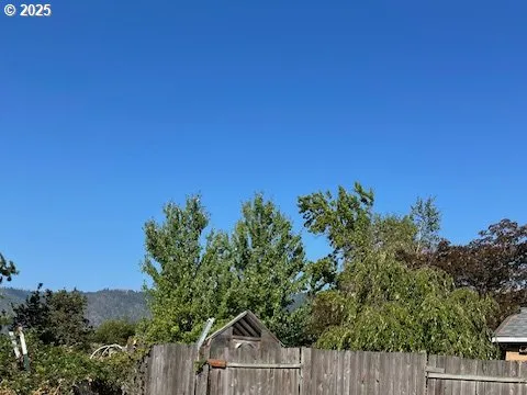 a view of a plants with a tree in the background