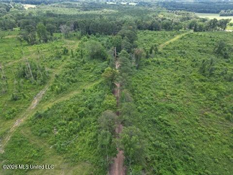H H Buckley Road Mendenhall, MS 39114 - Photo 1 of 2 drone 1