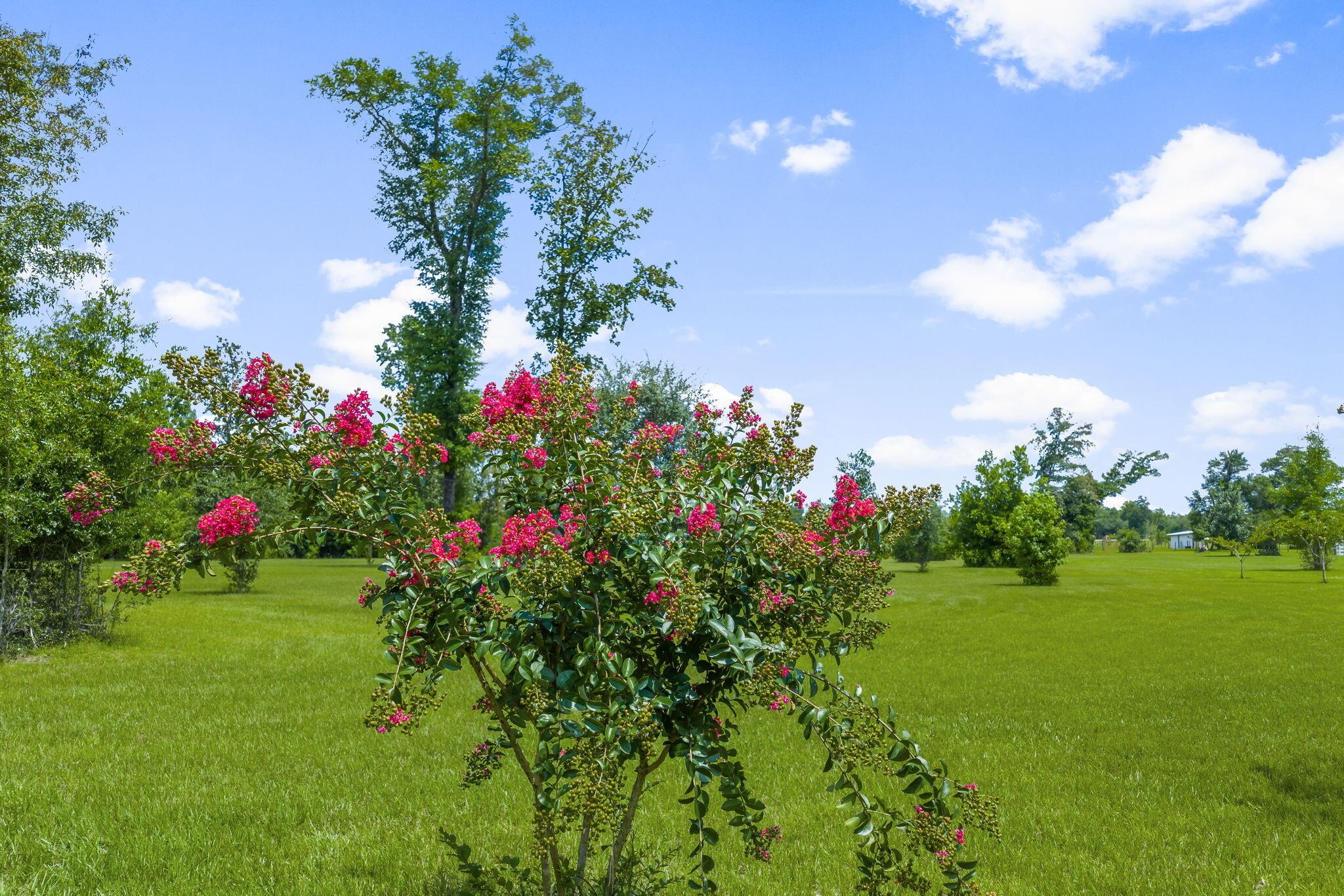 13935 Blue Springs Road Youngstown, FL 32466 - Photo 109 of 142 109-web-or-mls-WORKSHOP-7