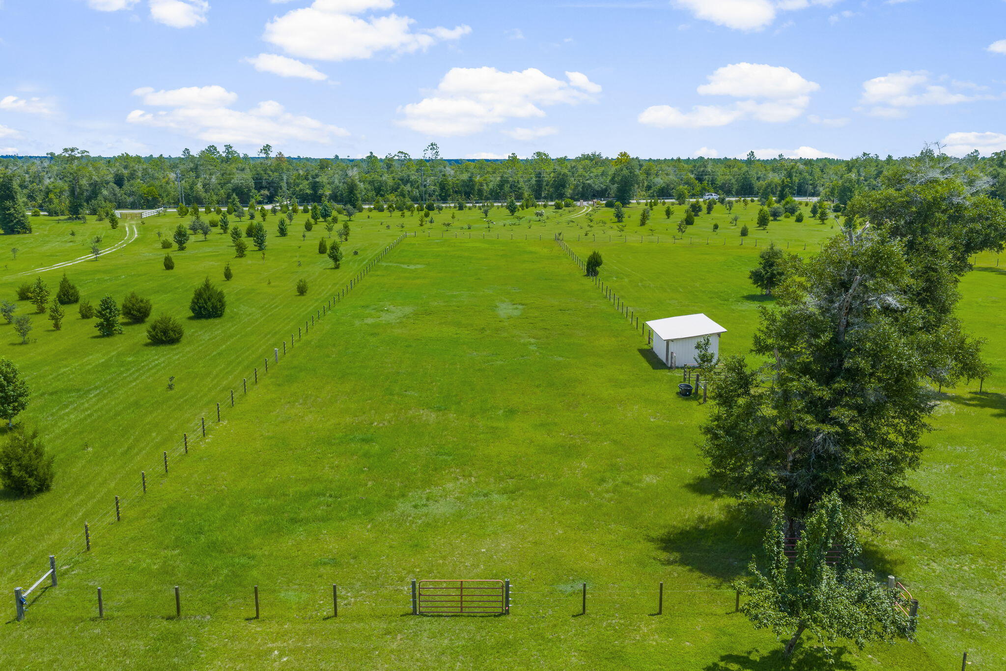 13935 Blue Springs Road Youngstown, FL 32466 - Photo 113 of 142 113-web-or-mls-13935 Blue Springs Rd-7