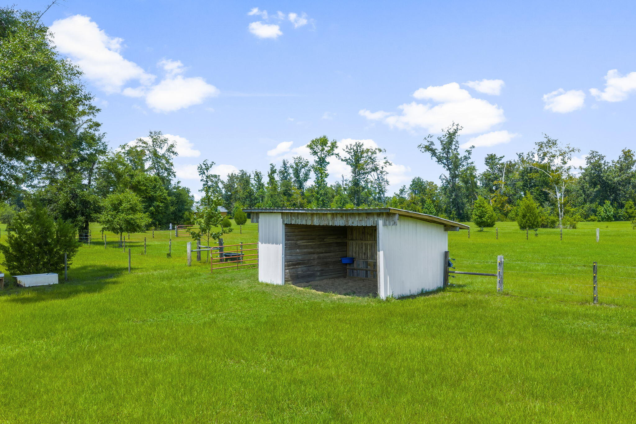 13935 Blue Springs Road Youngstown, FL 32466 - Photo 114 of 142 114-web-or-mls-13935 Blue Springs Rd-8