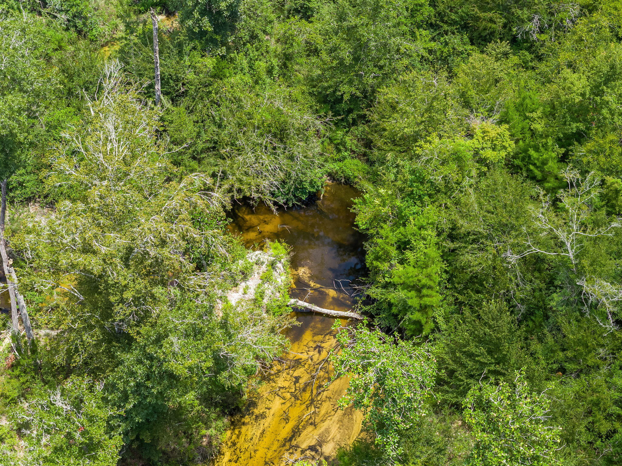 13935 Blue Springs Road Youngstown, FL 32466 - Photo 122 of 142 122-web-or-mls-13935 Blue Springs Rd-16