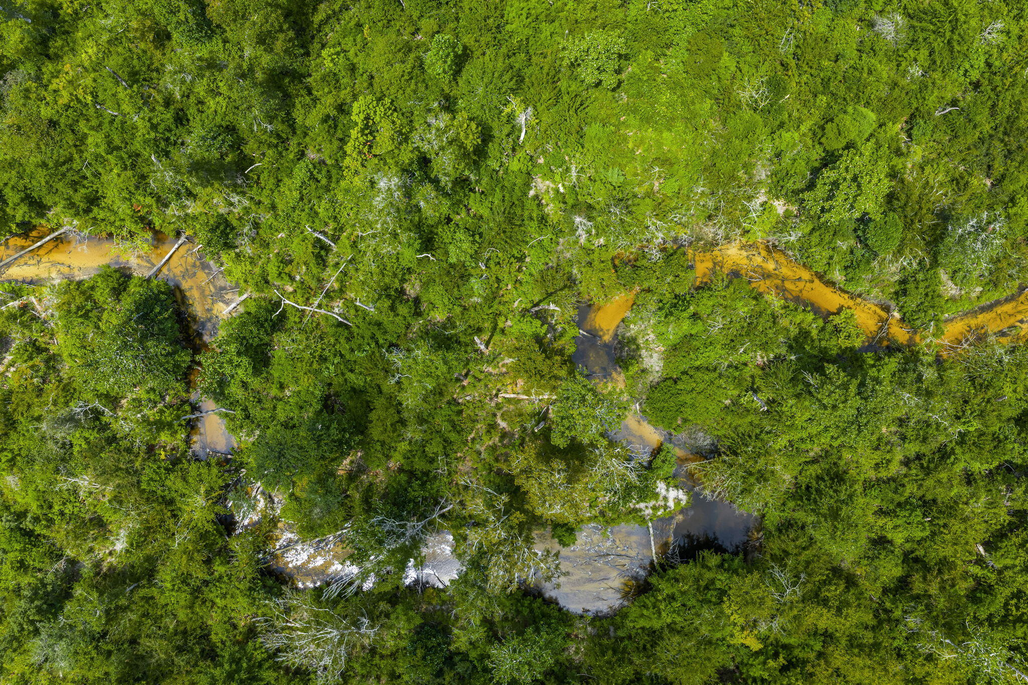 13935 Blue Springs Road Youngstown, FL 32466 - Photo 123 of 142 123-web-or-mls-13935 Blue Springs Rd-17