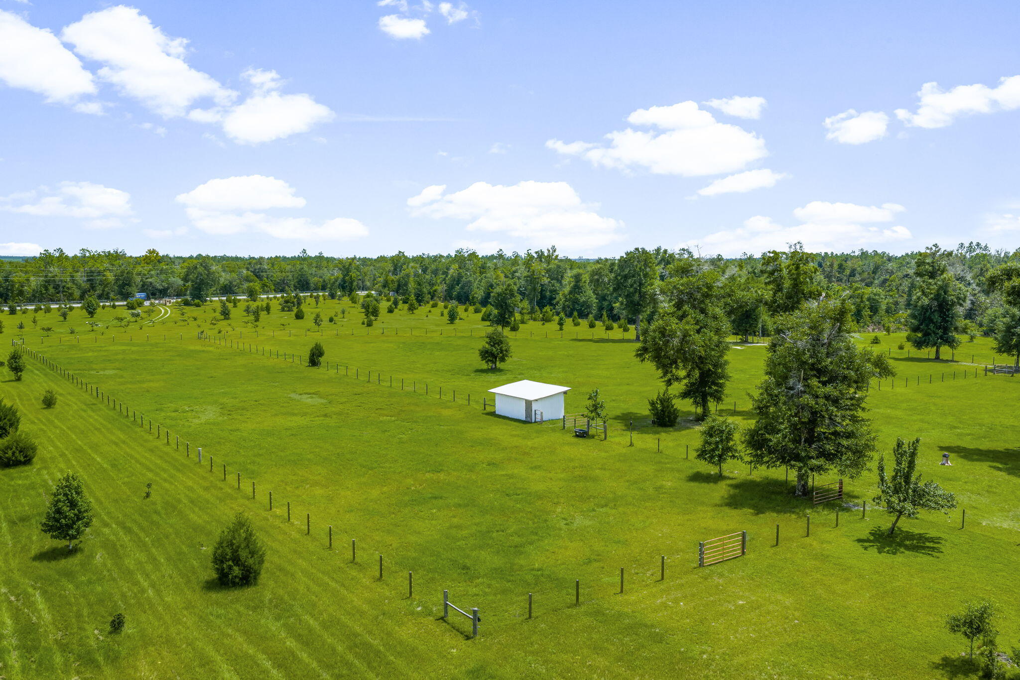 13935 Blue Springs Road Youngstown, FL 32466 - Photo 129 of 142 129-web-or-mls-13935 Blue Springs Rd-23