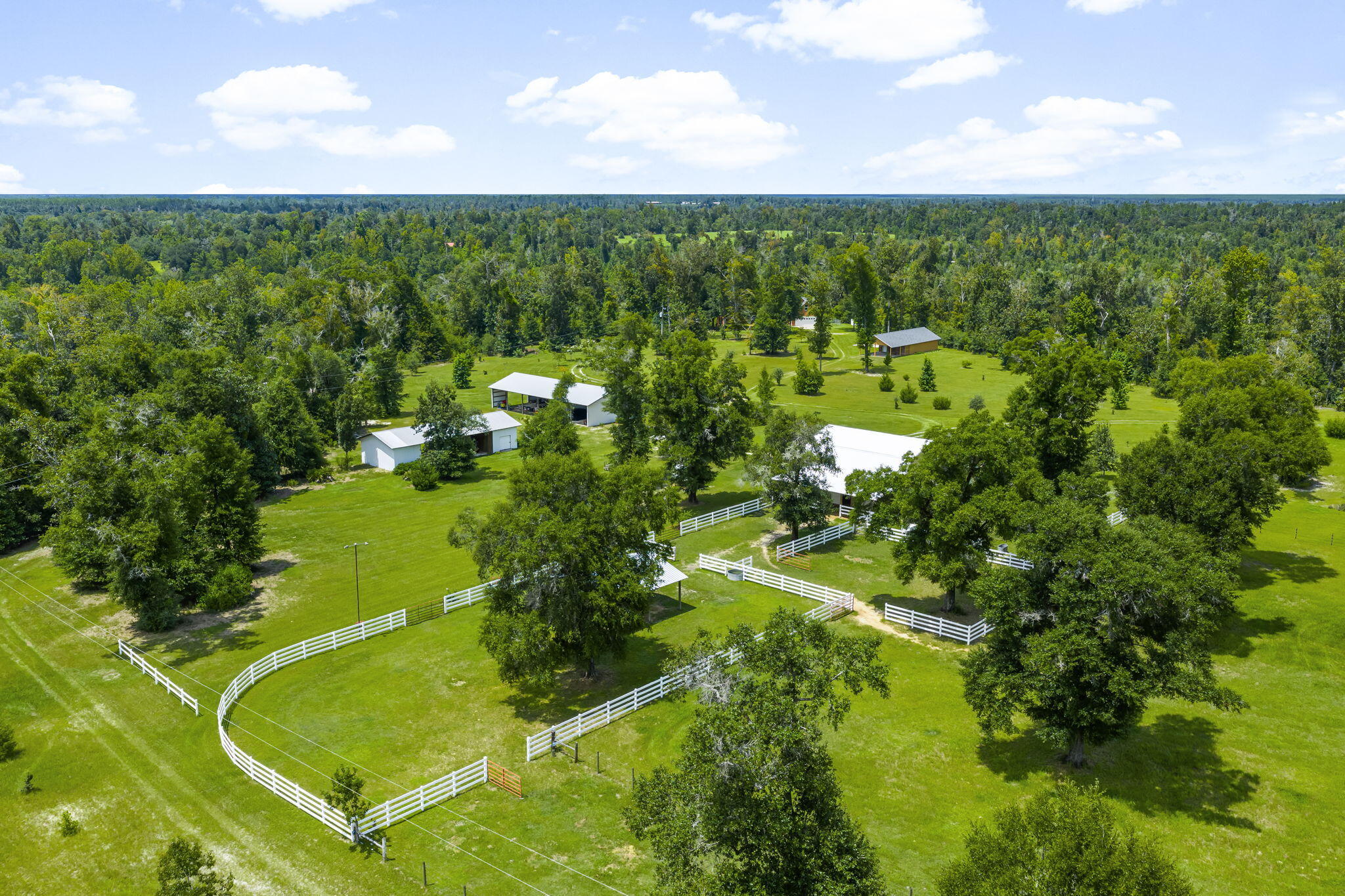 13935 Blue Springs Road Youngstown, FL 32466 - Photo 131 of 142 131-web-or-mls-13935 Blue Springs Rd-25