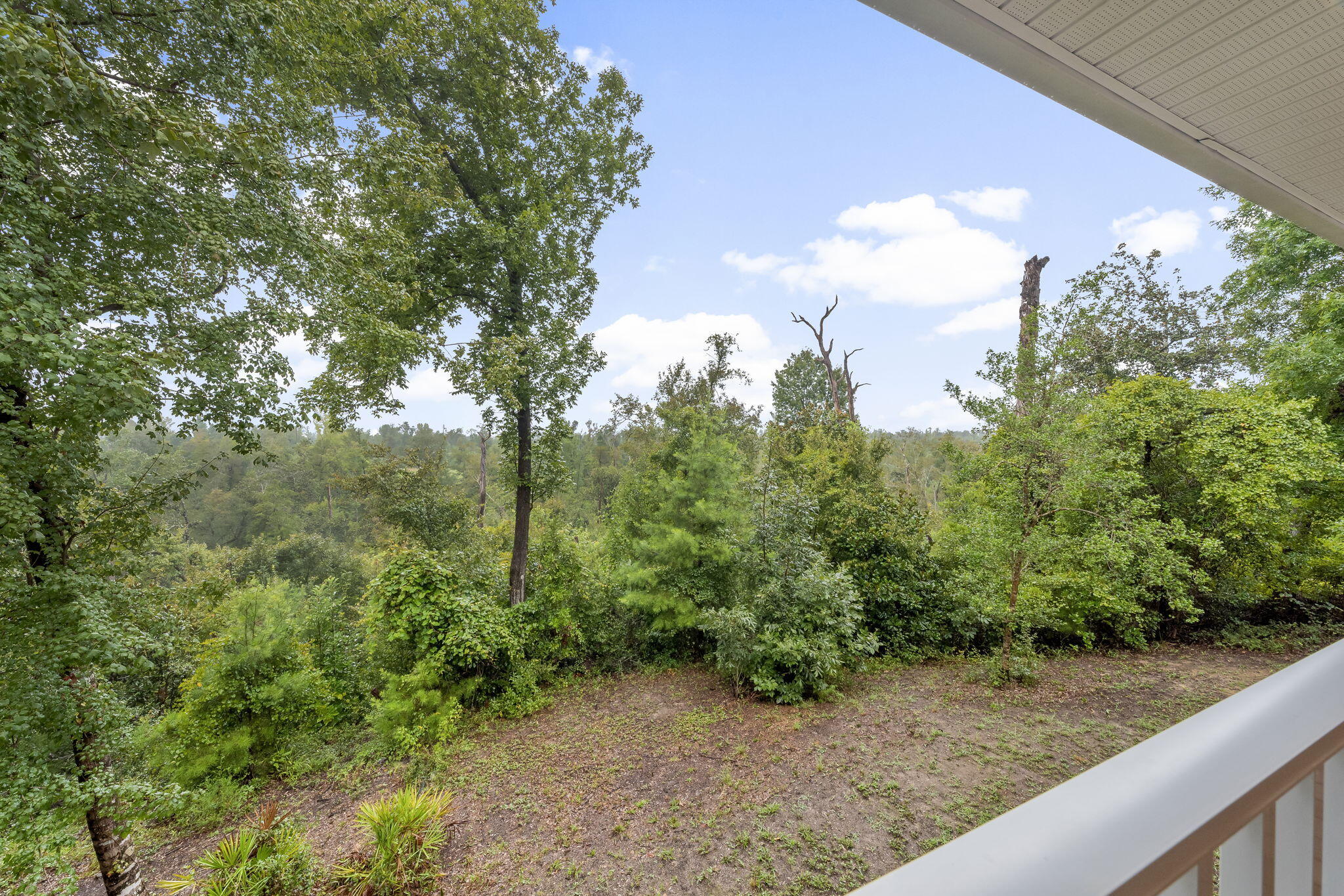 13935 Blue Springs Road Youngstown, FL 32466 - Photo 38 of 142 38-web-or-mls-HOUSE-40