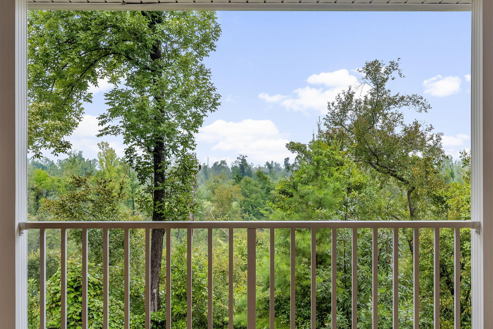 13935 Blue Springs Road Youngstown, FL 32466 - Photo 40 of 142 40-web-or-mls-HOUSE-42