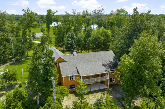 a view of a lush green forest with lots of trees