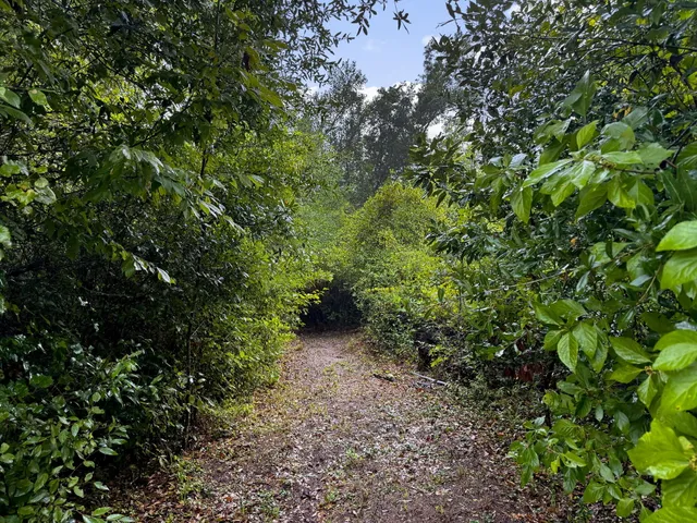 a view of a golf course with a lake