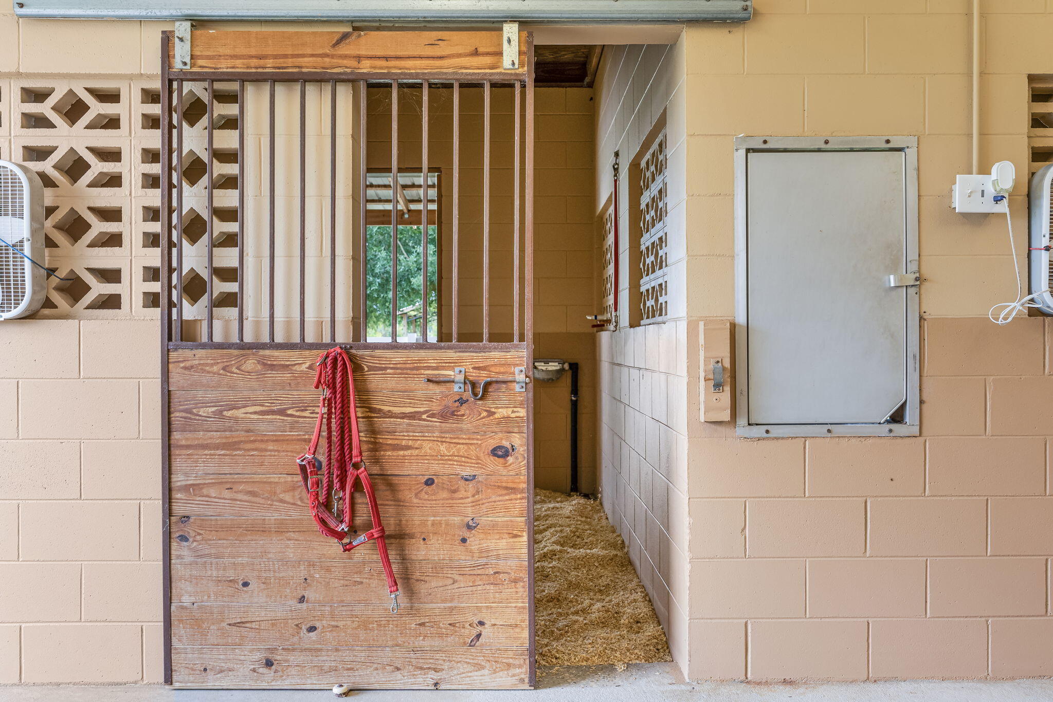 13935 Blue Springs Road Youngstown, FL 32466 - Photo 60 of 142 60-web-or-mls-BARN-10