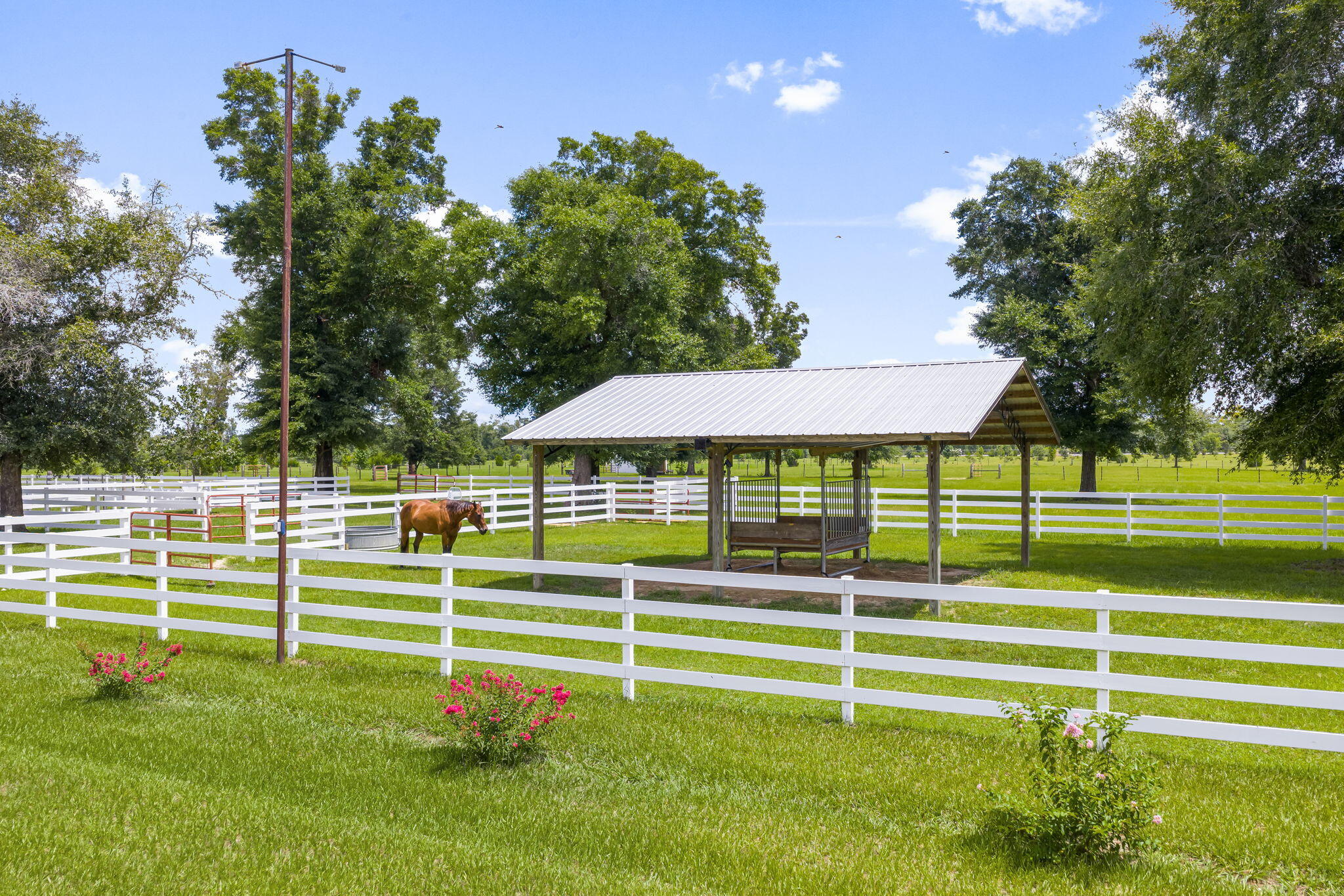 13935 Blue Springs Road Youngstown, FL 32466 - Photo 87 of 142 87-web-or-mls-BARN-37