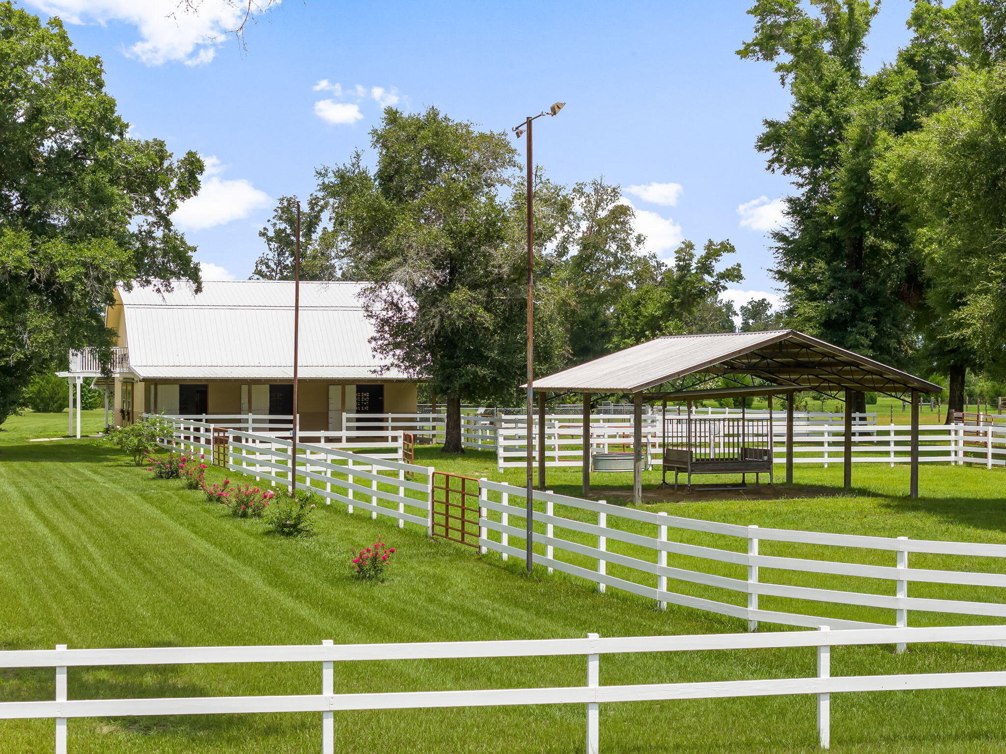 13935 Blue Springs Road Youngstown, FL 32466 - Photo 89 of 142 89-web-or-mls-BARN-39