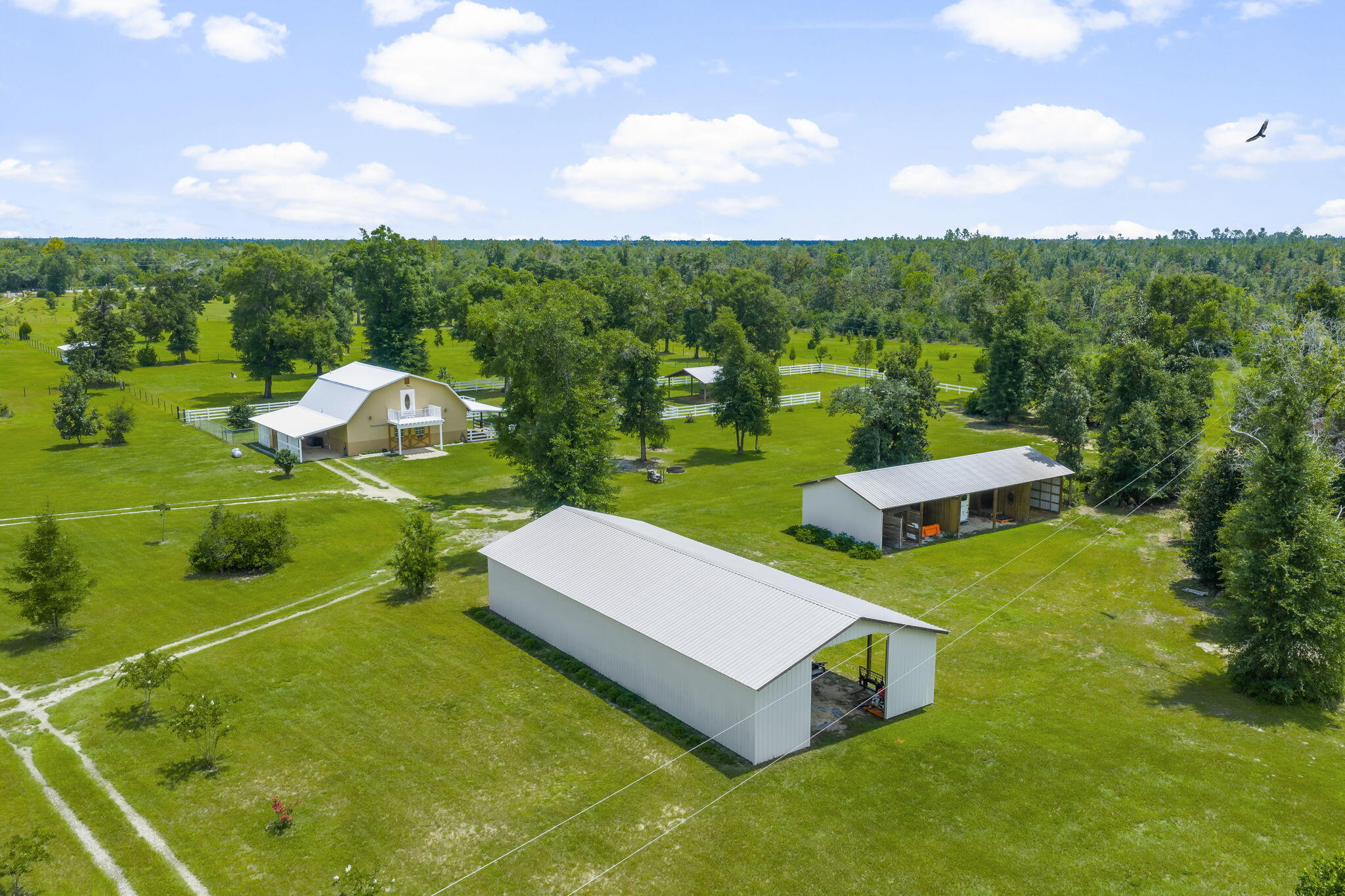 13935 Blue Springs Road Youngstown, FL 32466 - Photo 100 of 142 100-web-or-mls-STORAGE BUILDINGS-5