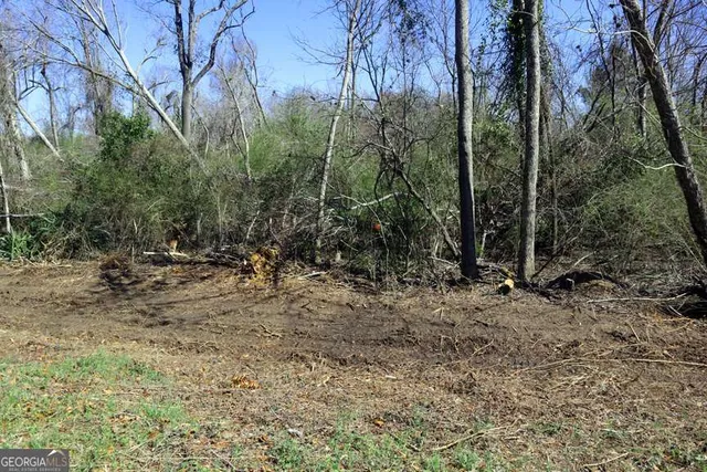 $22,000 | Lt 1 Harrison Davisboro Road, Unit 1, Davisboro, GA 31018