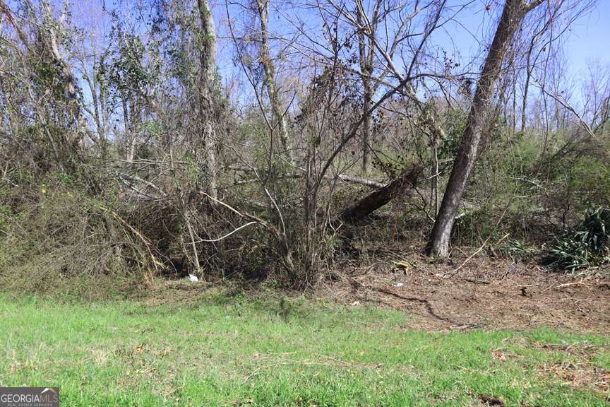 Lt 1 Harrison Davisboro Road, Unit 1 Davisboro, GA 31018 - Photo 3 of 5