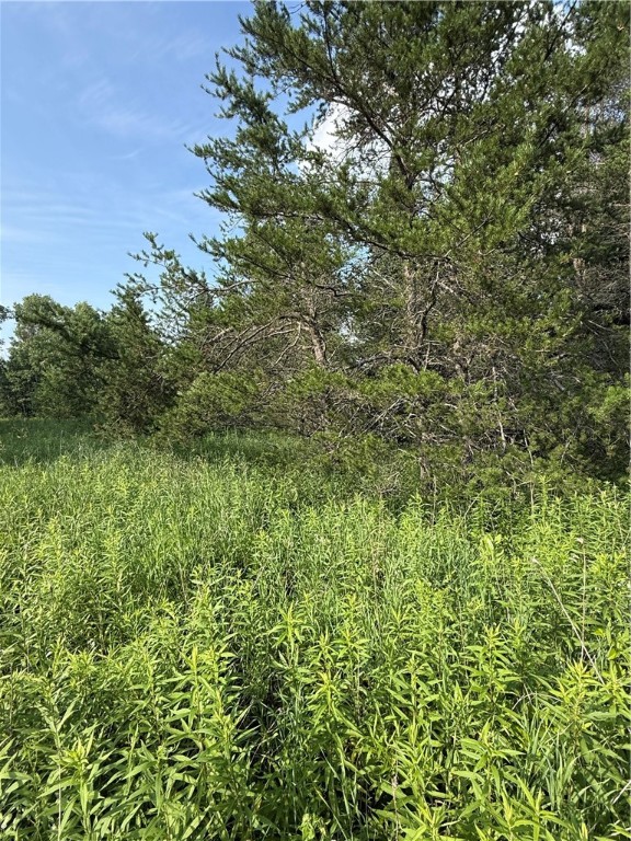 0 Tagalder Trail Hayward, WI 54843 - Photo 6 of 23