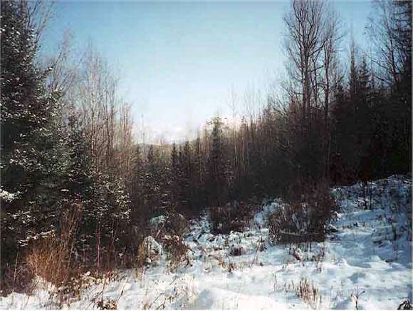 0 Kerr Road Franconia, NH 03580 - Photo 1 of 2