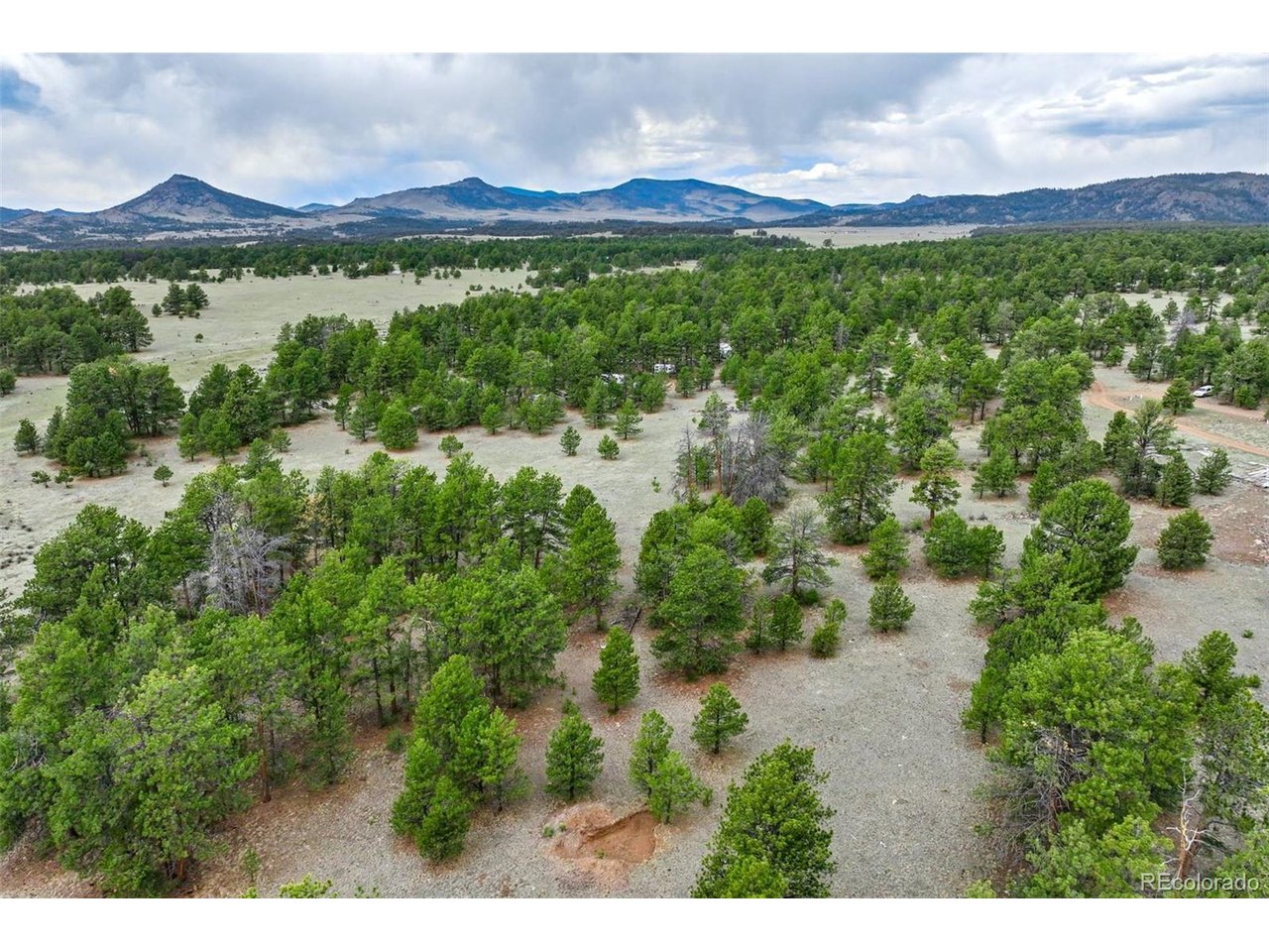 103 Doe Valley Road Guffey, CO 80820 - Photo 33 of 46