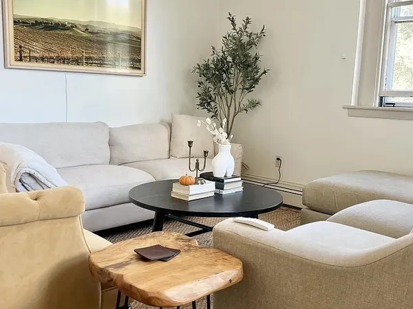a living room with furniture and a potted plant