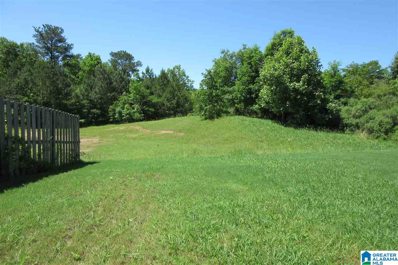 143 Renwick Lane Calera, AL 35040 - Photo 42 of 50