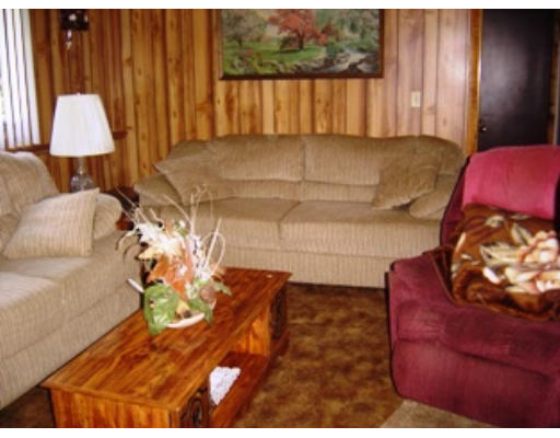 568 Burts Pit Road Northampton, MA 01062 - Photo 10 of 16 a living room with a couch and a potted plant