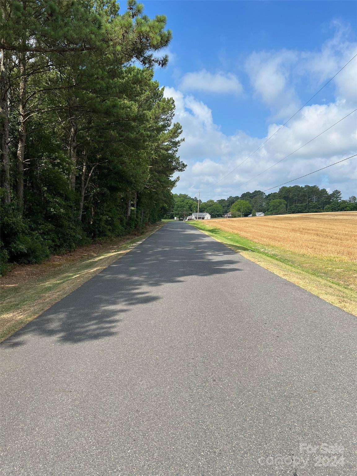 123 Ridge Street Ansonville, NC 28170 - Photo 11 of 22