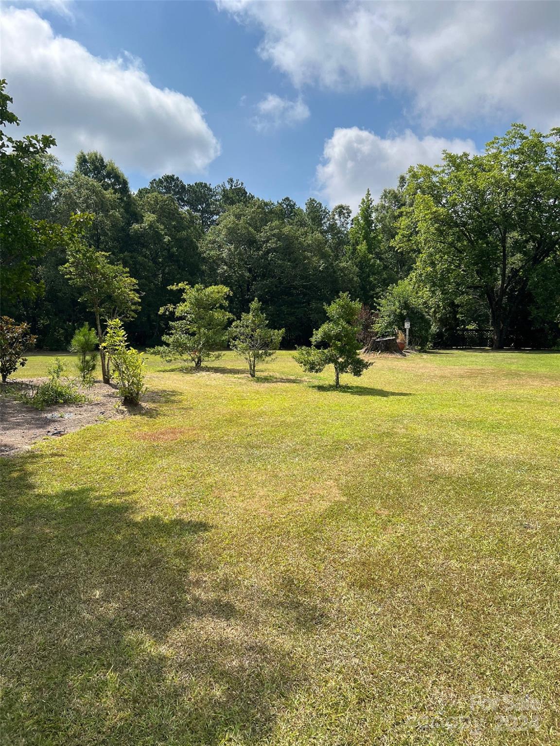 123 Ridge Street Ansonville, NC 28170 - Photo 9 of 22