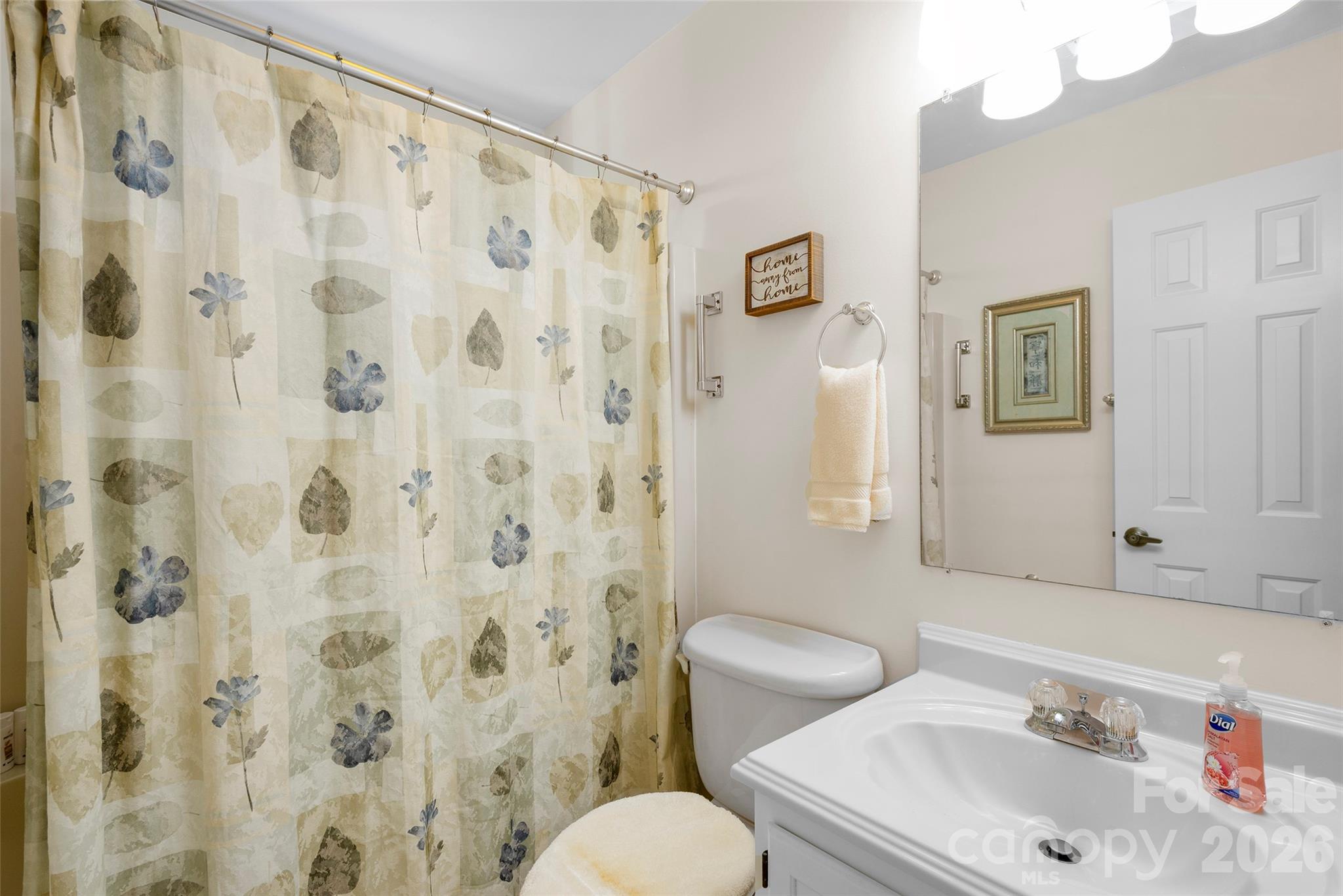 116 Lakeview Court Brevard, NC 28712 - Photo 18 of 43 a bathroom with a sink and a toilet