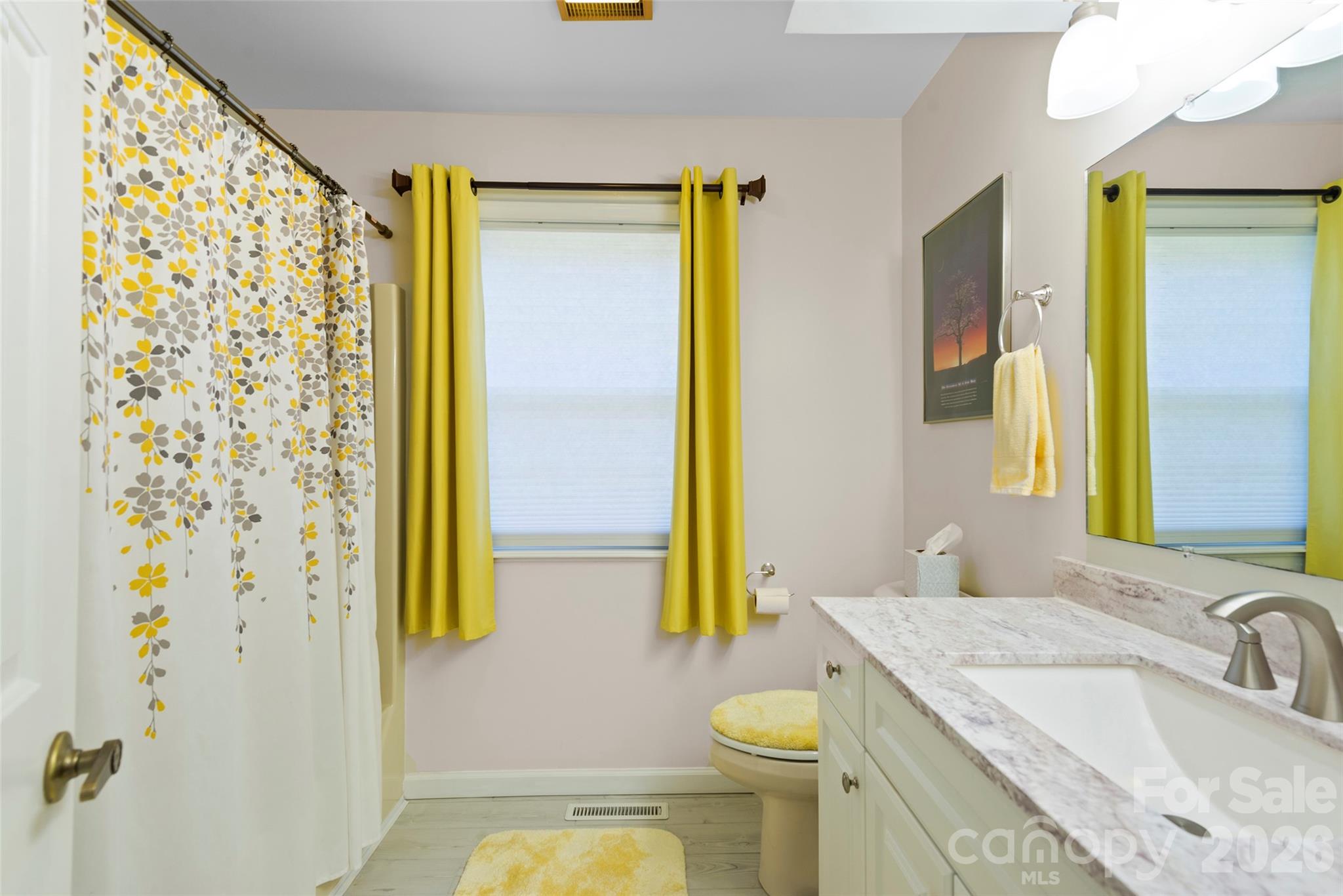 116 Lakeview Court Brevard, NC 28712 - Photo 21 of 43 a bathroom with a granite countertop sink and a mirror